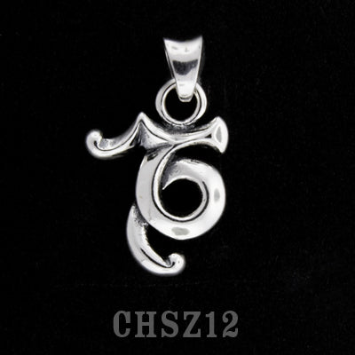 Capricorn Zodiac Charm